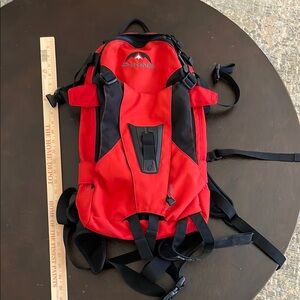 Dakine Ski/Snowboard Carrying Backpack